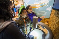 Students looking at a microscope projection