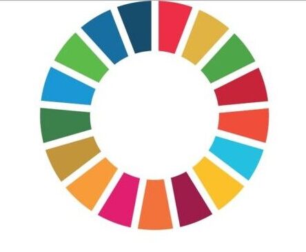 Color wheel image - the logo of the UN's Global Goals.