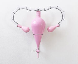 art image of a pink sculpture of a uterus with barbed wire fallopian tubes.