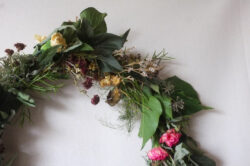 Wreath of greenery on a white background