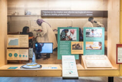 An overview of a section of the "Our Work" gallery in the Discovery Center.