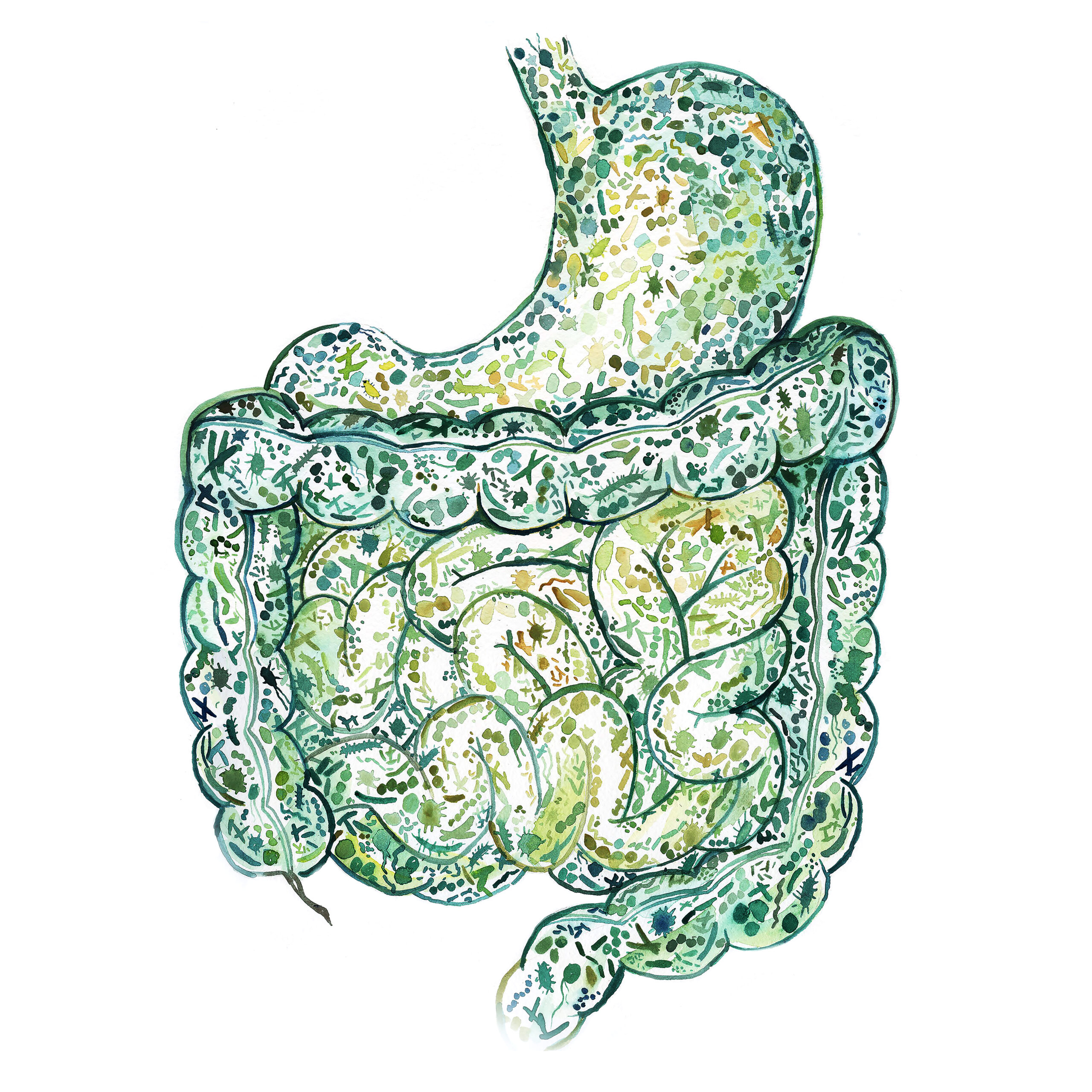 Art image of the gut biome.