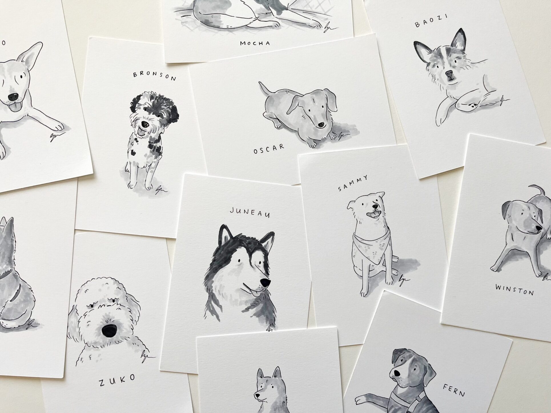 Pet Portraits