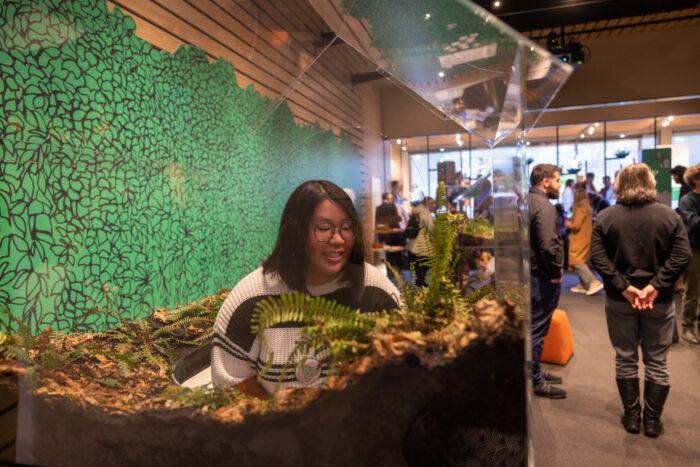 Visitors enjoy the environmental artist Vaughn Bell’s installation “Village Green: Loopscapes, 2024”