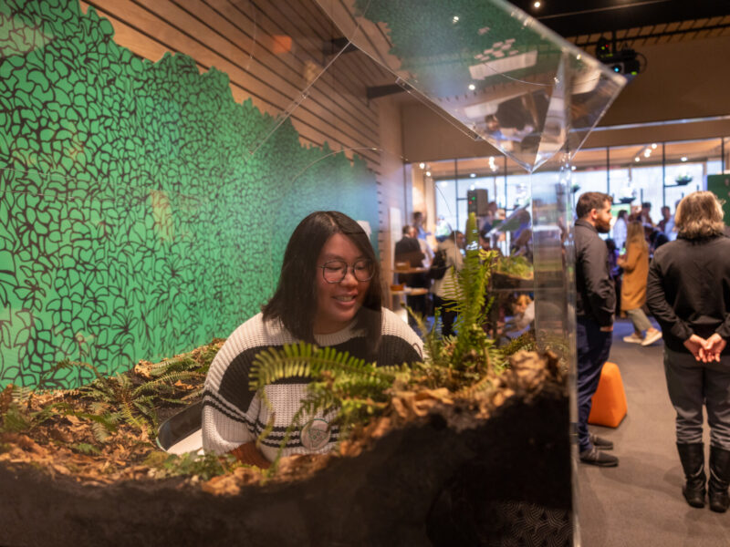 Visitors enjoy the environmental artist Vaughn Bell’s installation “Village Green: Loopscapes, 2024”
