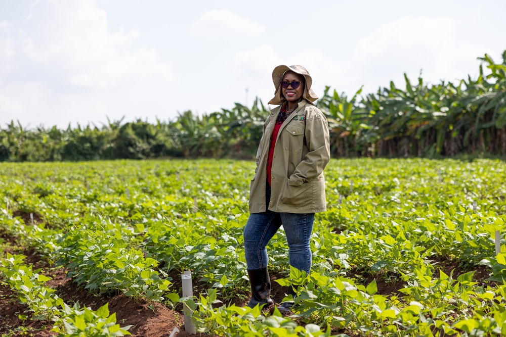 Women standing in a bean feild.