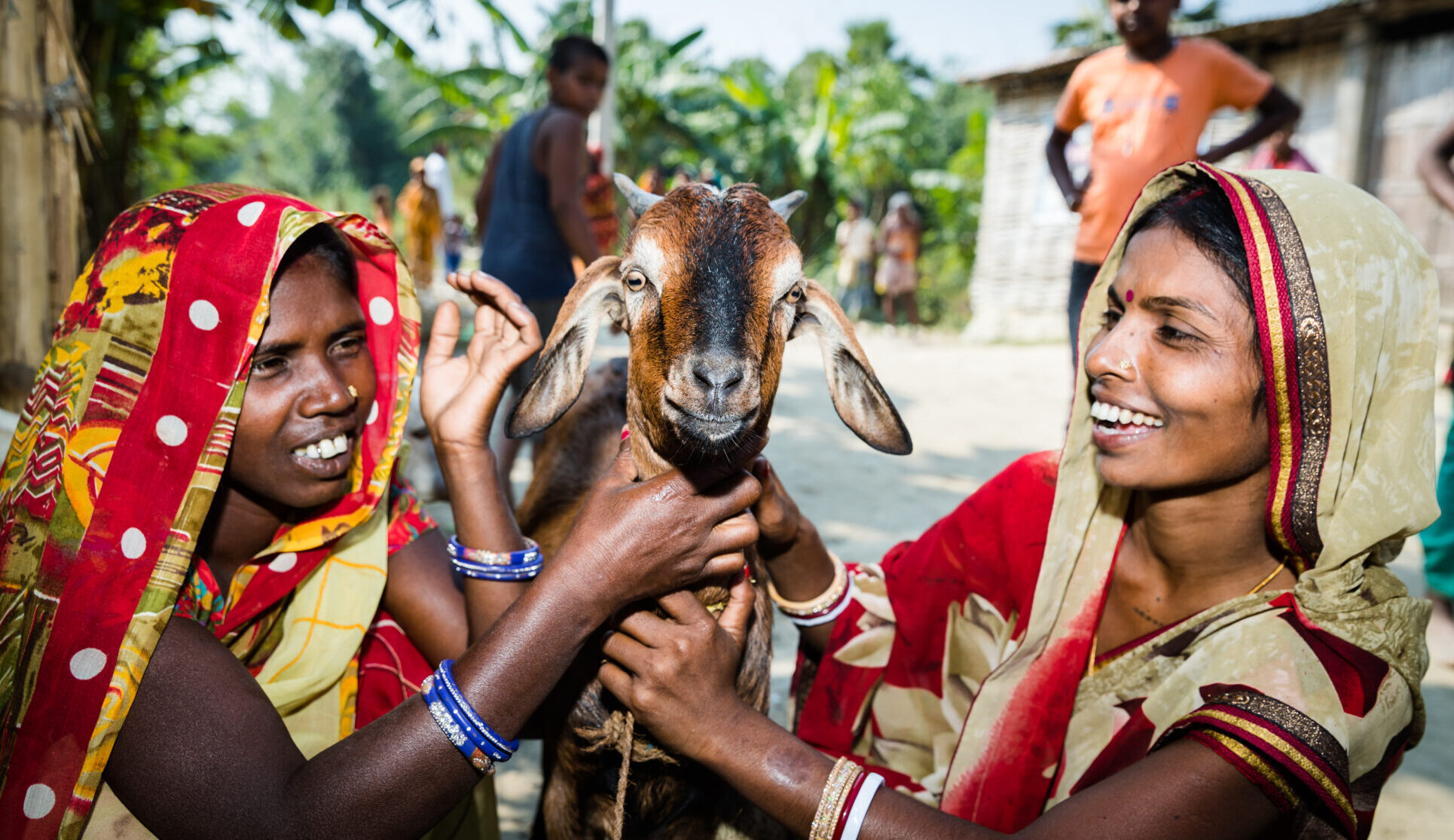 Two women hold a goat while smiling