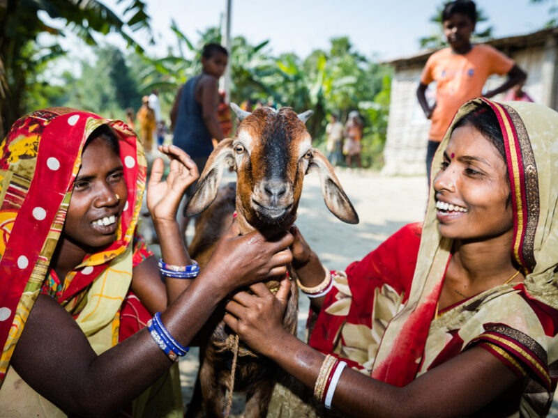 Two women hold a goat while smiling