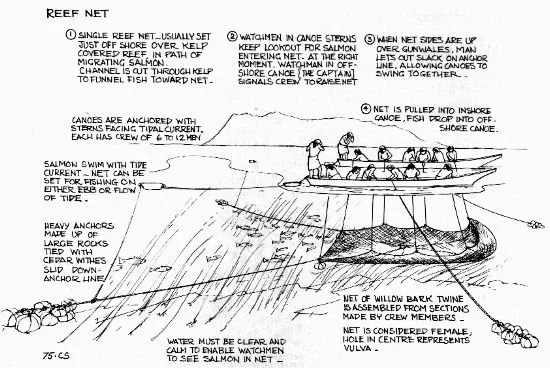 Reef-net diagram